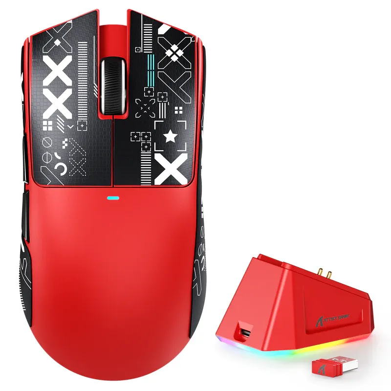X11_4.webp