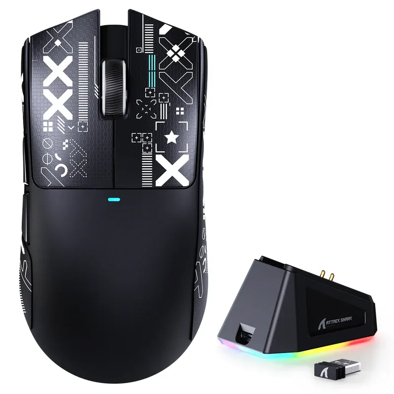 X11_6.webp