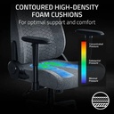 Razer Iskur V2 X Gaming Chair With Built-In Lumbar Support, High Density Foam Cushions, 2D Armrests - Light Gray