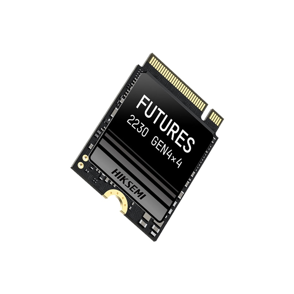 [NS028303] Hikvision Future NVMe M.2 2230 2TB (2048GB) Gen 4x4 Upto 7400MB/s Read (Without Heatsink)
