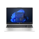 HP 250 G10 Intel Core i5-1335U 16GB RAM 512GB SSD 15.6'' FHD Iris X Graphics Free Windows 11 Pro (License) - Turbo Silver